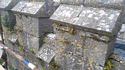 acastle 144060.jpg